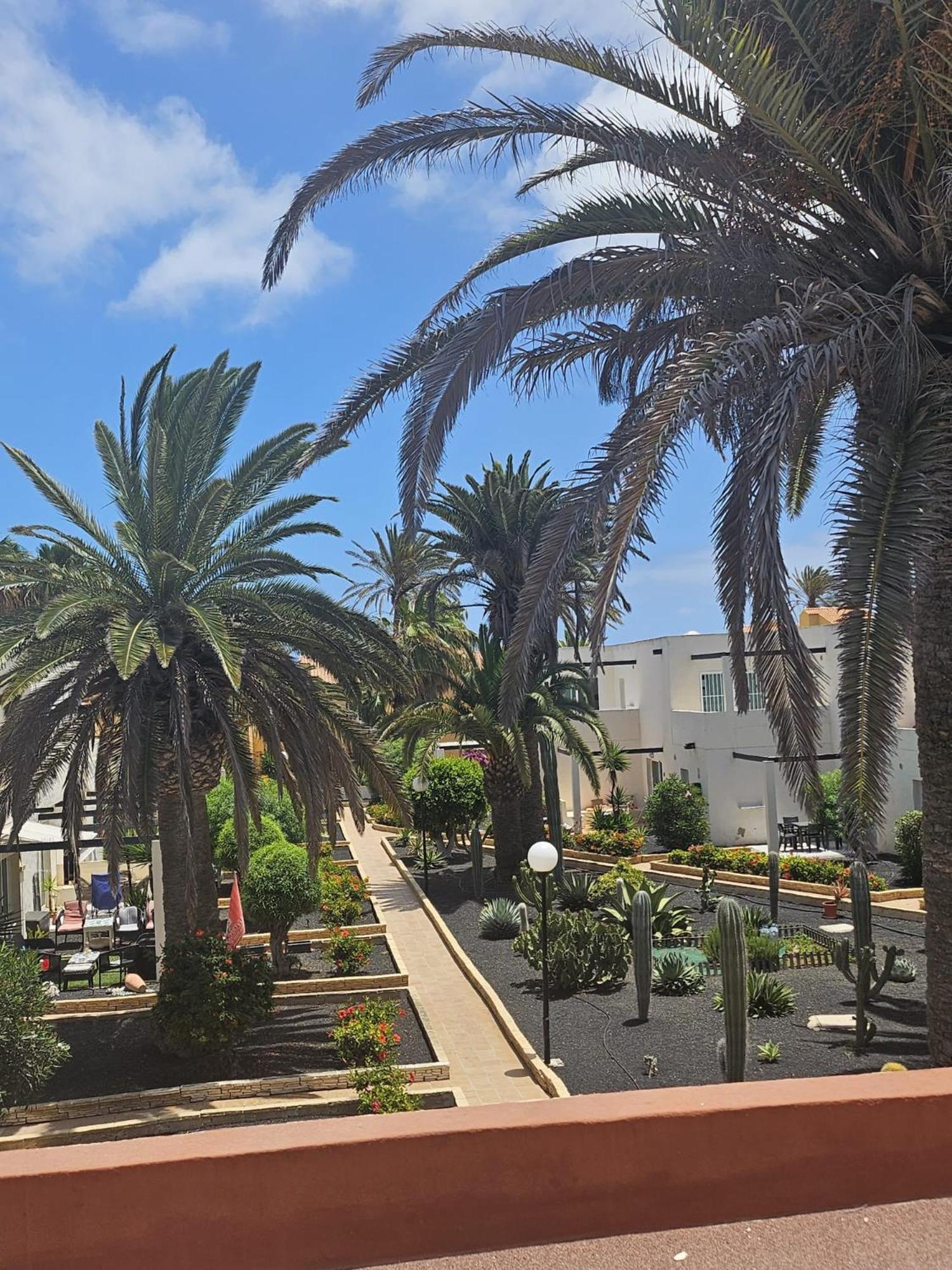 New Alisios Playa Lejlighed Corralejo Eksteriør billede