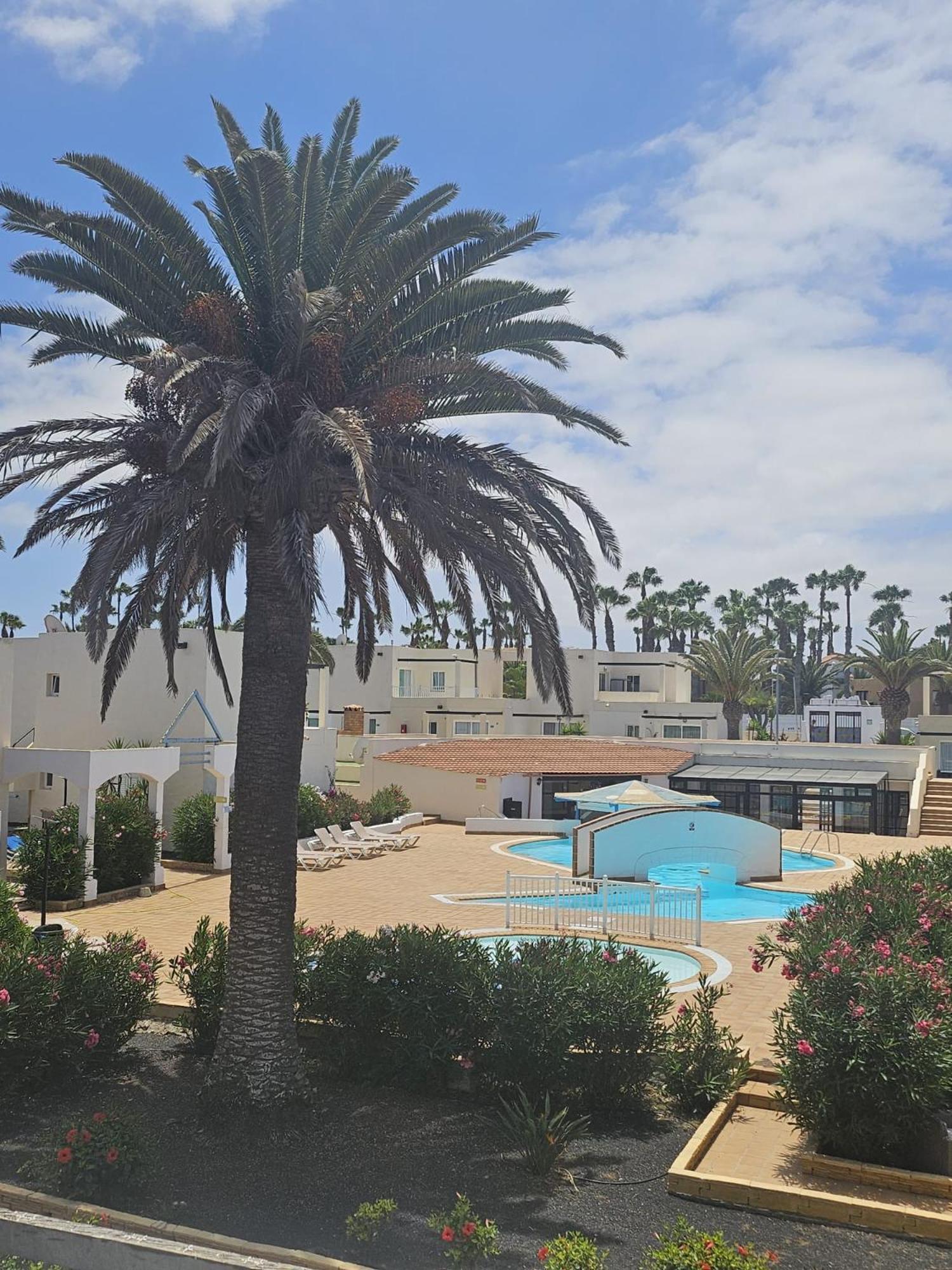 New Alisios Playa Lejlighed Corralejo Eksteriør billede